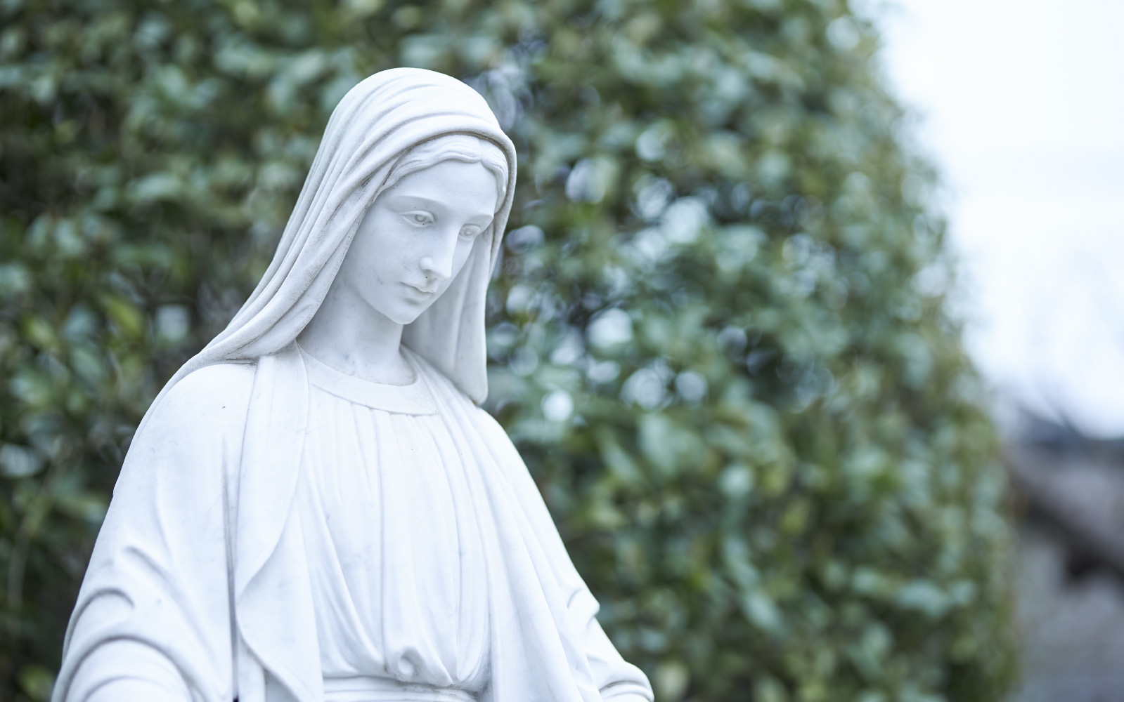 お客様の声をご紹介